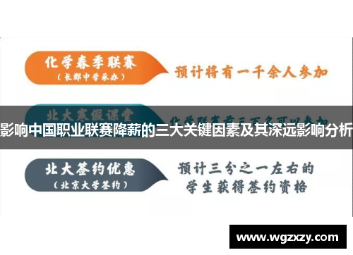 影响中国职业联赛降薪的三大关键因素及其深远影响分析